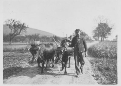 1919-20 Horchheim Landwirtschaft Ackerer Peter Breitbach Alte Heerstr. 11 auf dem Niederfelder Weg