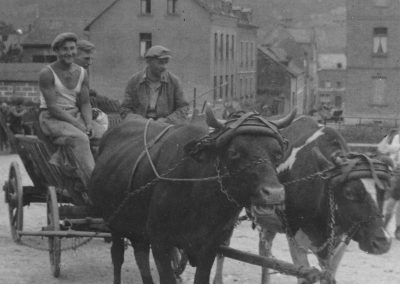 1930er Jahre Landwirtschaft Ochsenfuhrwerk re. Josef Weinheimer li. Wilhelm Weinheimer