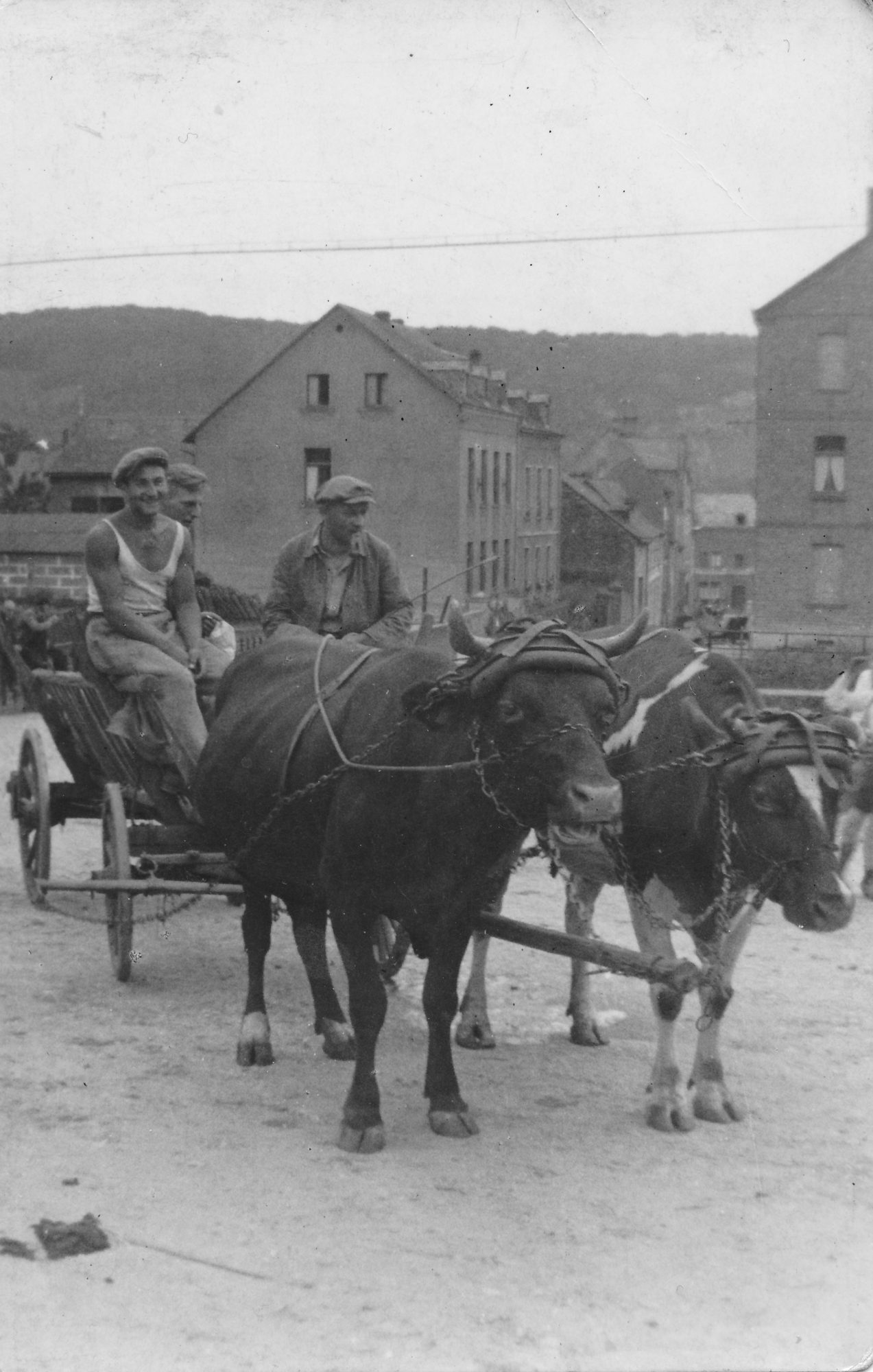1930er Jahre Landwirtschaft Ochsenfuhrwerk re. Josef Weinheimer li. Wilhelm Weinheimer