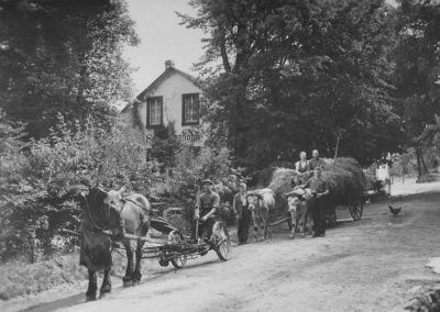 1933 Horchheim Landwirtschaft vor der Schmidtenhöhe vorne Schmitze Hannes mit Pferd Emma das biß und trat, am Ochsengespann re. stehend Hans Schmitz sitzend auf den Heu Eltern Schmitz