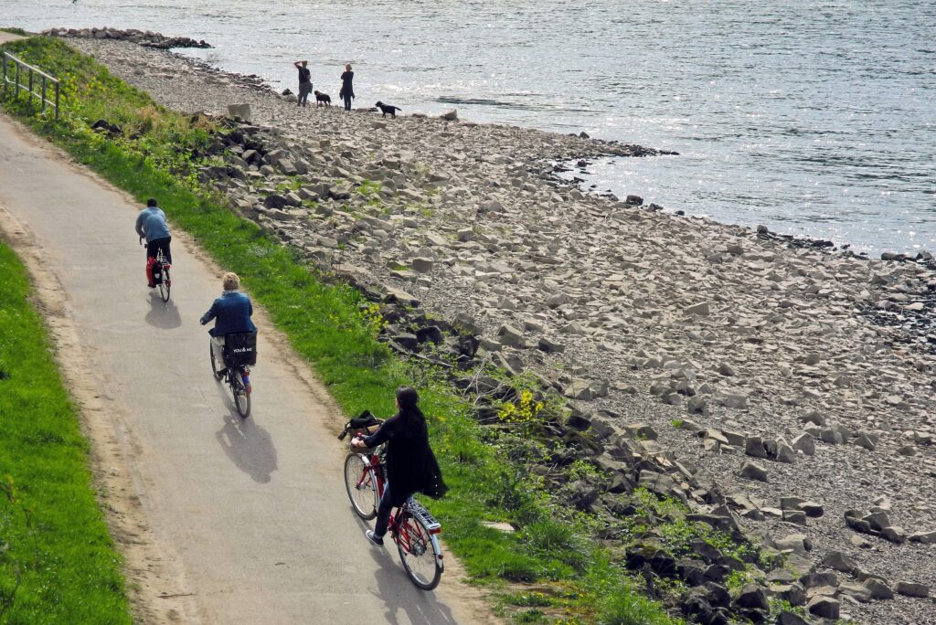 Mai ‒ Die Radsaison ist eröffnet - Radtouren entlang des Horchheimer Leinpfads am Rheinufer laden zum Genießen ein. ‒ Foto: Lothar Stein