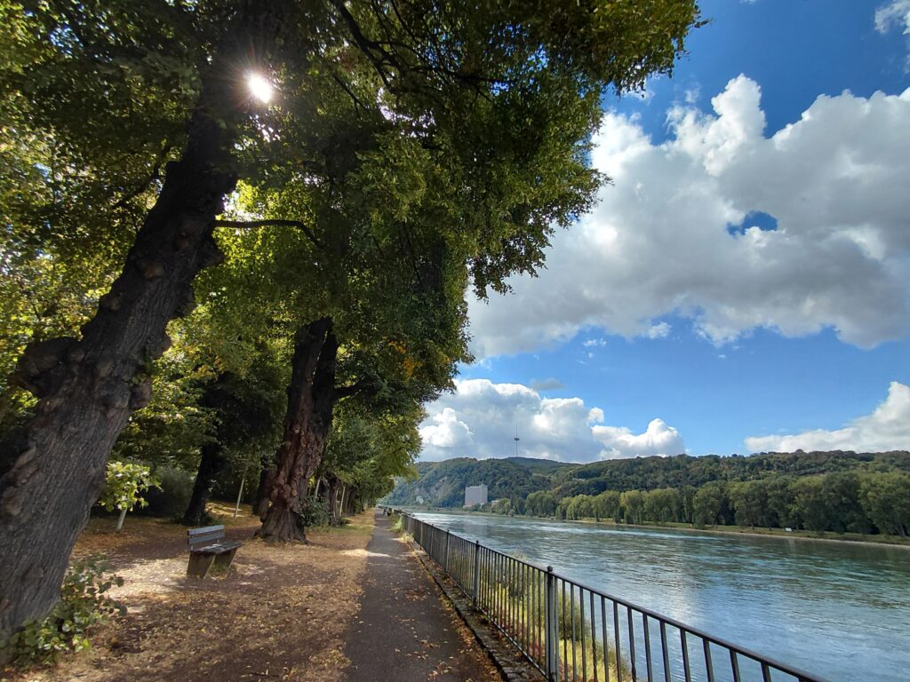 Spätsommerlicher Blick entlang der Mendelssohn-Allee am Rhein Richtung Königsbacher Brauerei
Foto © Andreas Weber
