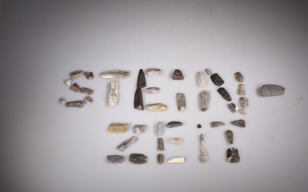 Aus dem Depot ans Licht – Archäologische Funde aus Horchheim