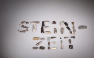 Aus dem Depot ans Licht – Archäologische Funde aus Horchheim